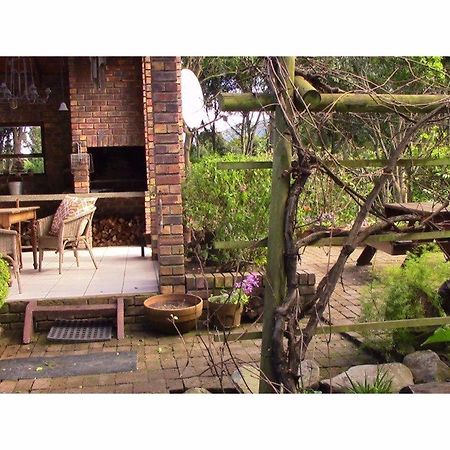 Forest Nest Cottage, Tsitsikamma 斯托姆勒菲 外观 照片