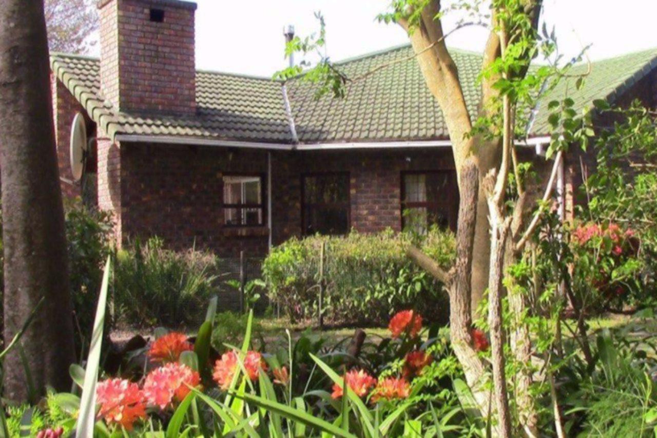 Forest Nest Cottage, Tsitsikamma 斯托姆勒菲 外观 照片