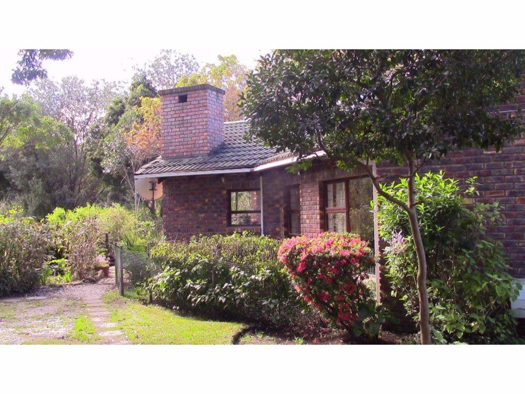 Forest Nest Cottage, Tsitsikamma 斯托姆勒菲 外观 照片