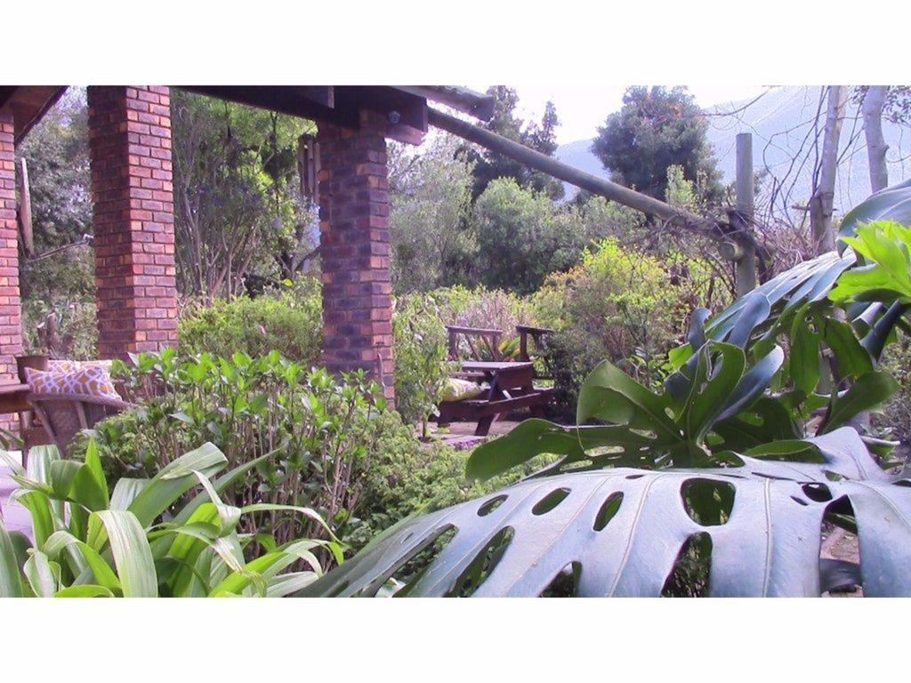 Forest Nest Cottage, Tsitsikamma 斯托姆勒菲 外观 照片