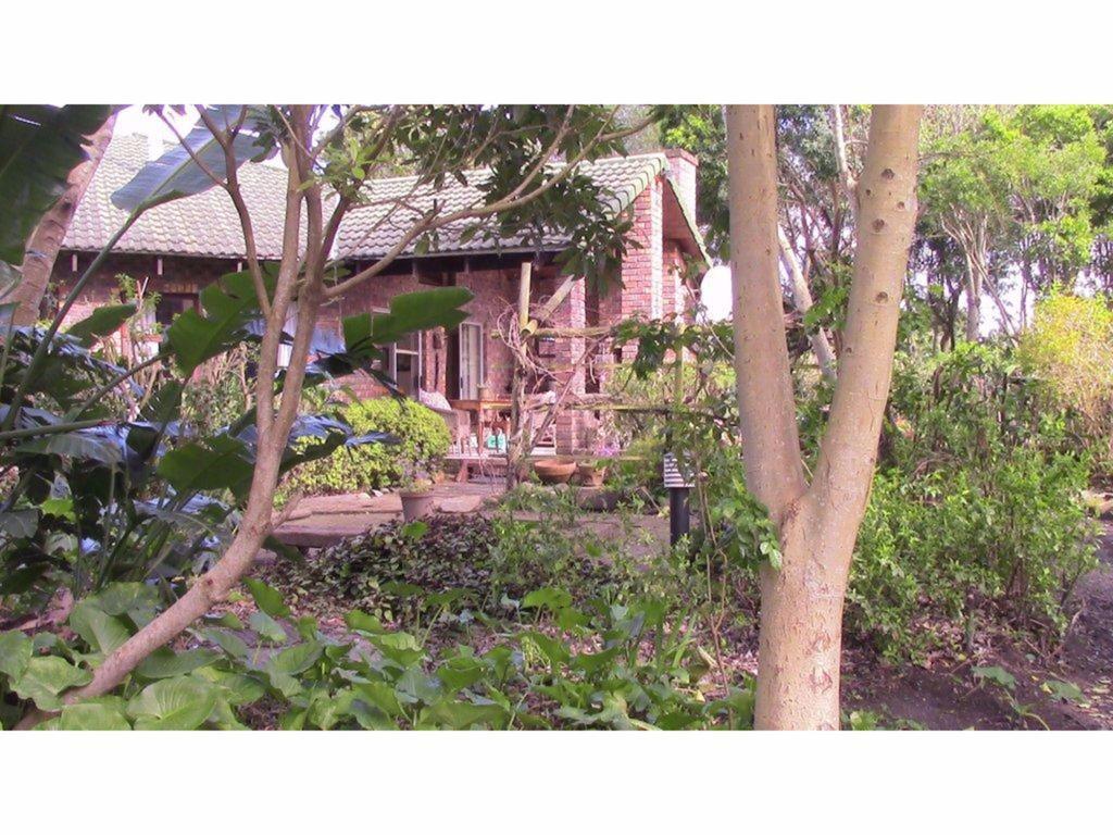 Forest Nest Cottage, Tsitsikamma 斯托姆勒菲 外观 照片